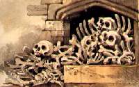 pile of bones